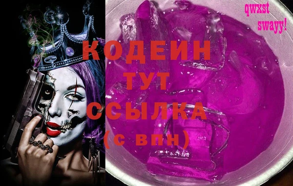 гидра Ельня