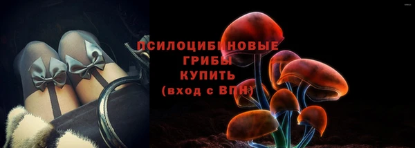СК Абдулино