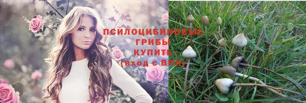 стаф Абаза
