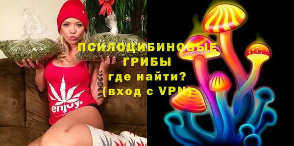 СК Абдулино