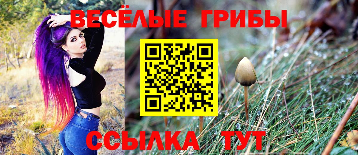 Галлюциногенные грибы мицелий Иркутск