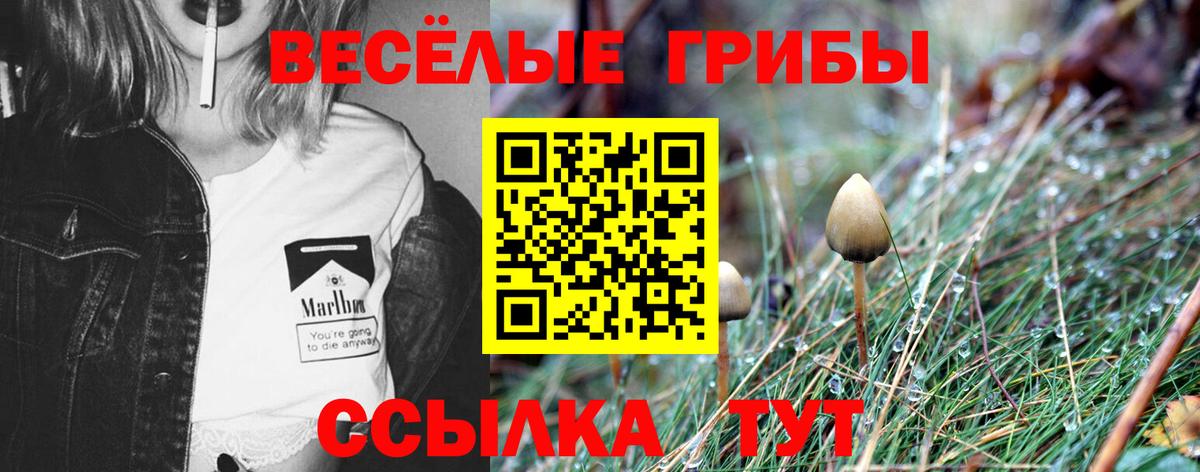 Псилоцибиновые грибы Cubensis  Вход с VPN  Иркутск  Псилоцибиновые грибы ЛСД 
